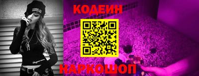 spice Камышлов