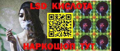 apvp Канаш